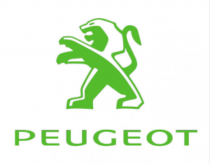 Peugeot Timing Set di strumenti per auto