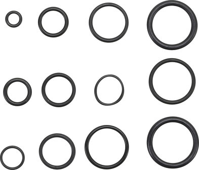 Assortimento di O-Ring in 50 parti