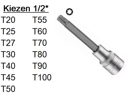 Punta Torx 1/2 (100mmL)