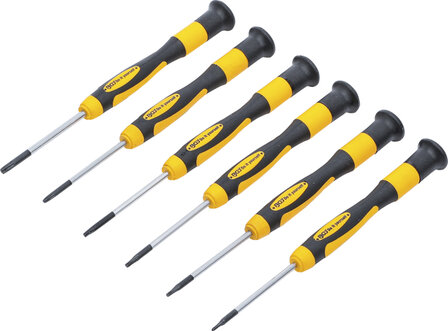 Serie di cacciaviti di precisione Torx 6 pz