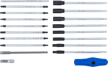 Set speciale di cacciaviti con impugnatura a T 19 pezzi