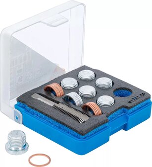 Kit di riparazione per lo scarico dellolio filettatura M17 x 1,5 mm
