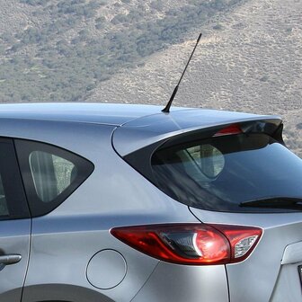 Antenna per auto incl. Adattatori M5 M6