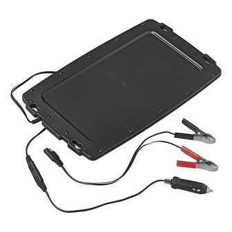 Caricabatterie solare di mantenimento 12V 2 4W
