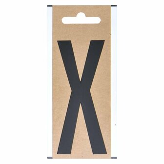 Etichetta lettera X10cm