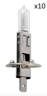 Lampadina auto 12V 55W P14.5s H1 in scatola x10 stuks