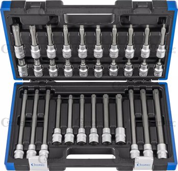 Set di inserti per chiave a bussola 1/2&quot; profilo TP (per Torx Plus) T20 - T70, 32 pezzi