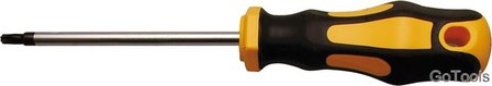 Cacciavite profilo a T (per Torx) T25 Lunghezza della lama 100 mm