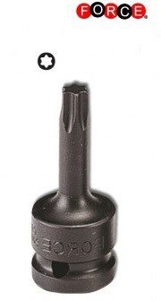 Tappi di forza Torx 3/8 (pezzo unico) T20