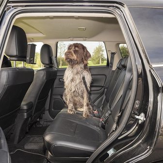 Guinzaglio per cani per cintura di sicurezza auto