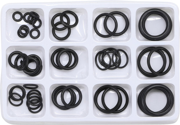 Assortimento di O-Ring in 50 parti