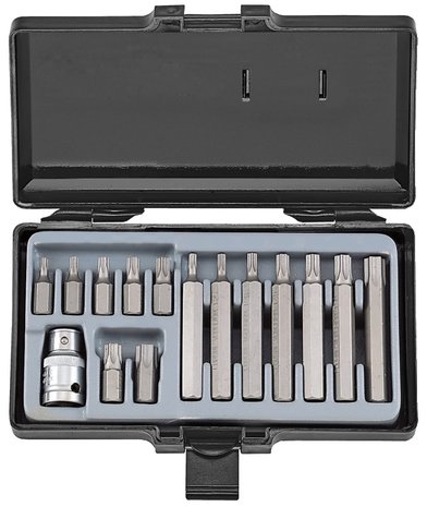 Set di bit Torx 15 pezzi