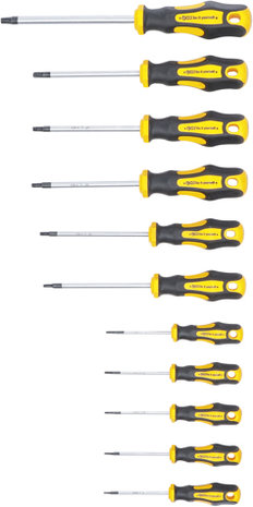 Serie di cacciaviti Torx T6 - T40 11 pz