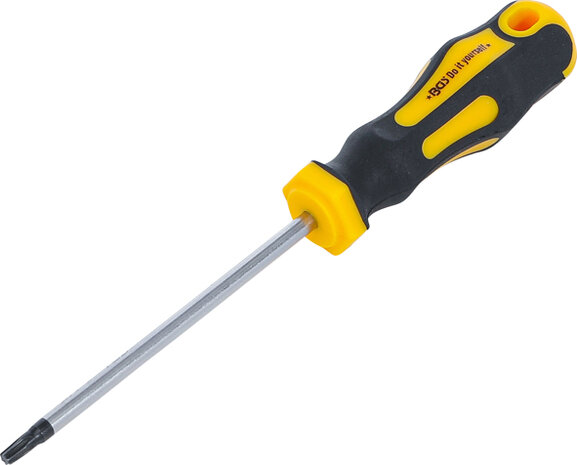 Cacciavite profilo a T (per Torx) T20 Lunghezza della lama 100 mm