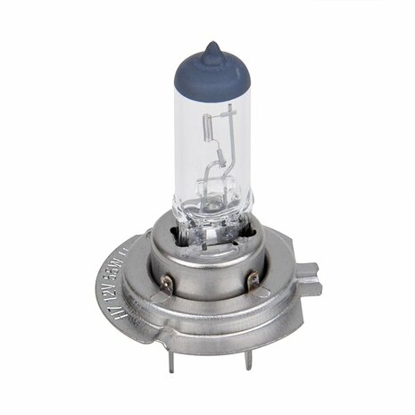 Lampadina auto 12V 55W PX26d H7 in scatola
