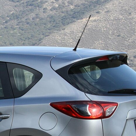 Antenna per auto incl. Adattatori M5 M6