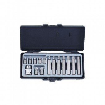 Set di bit Torx 15 pezzi