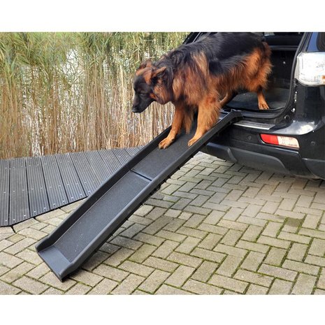 Rampa per cani
