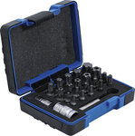 Bit Set  Profilo TS PLUS (per Torx Plus)  23 puzzazioni