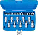 Set chiavi a bussola 12,5 mm (1/2) profilo a E / T (per Torx) 19 pz