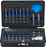 Serie di estrattori viti a esagono interno 1,5 - 10 mm / profilo a T (per Torx) T10 - T55 19 pz