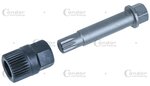 Alternatore Presa 12 mm 33 denti dado scanalato M10