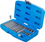 Serie di inserti attacco esagono esterno 10 mm (3/8) profilo a cuneo (per RIBE) 22 pz
