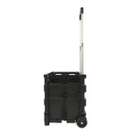 Carrello pieghevole con cestino pieghevole 25kg