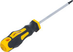 Cacciavite profilo a T (per Torx) T15 Lunghezza della lama 100 mm