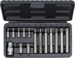 Serie di inserti attacco esagono esterno 10 mm (3/8) Torx 15 pz