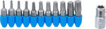 Set di punte  6,3 mm (1/4) di azionamento  Torx 11 puzzazioni