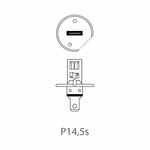 Lampadina auto 12V 55W P14.5s H1 in scatola