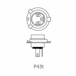 Lampadina auto 12V 60 55W P43t H4 in scatola