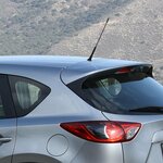 Antenna per auto incl. Adattatori M5 M6