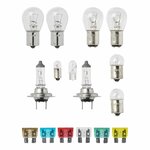 Set lampadine di ricambio H7 16 pezzi