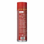 Estintore 0 6L AB F schiuma NL