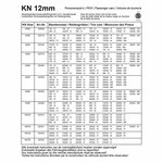 Catene da neve 12mm KN50