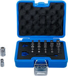 Serie di inserti Profilo TS (per Torx Plus) 23 pz