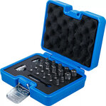 Serie di inserti Profilo TS (per Torx Plus) 23 pz