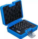Serie di inserti Profilo TS (per Torx Plus) 23 pz