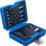 Serie di estrattori viti a esagono interno 1,5 - 10 mm / profilo a T (per Torx) T10 - T55 19 pz