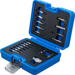 Serie di estrattori viti a esagono interno 1,5 - 10 mm / profilo a T (per Torx) T10 - T55 19 pz