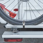 Cinghie con fibbia in metallo 18mm-40cm - Set da 4