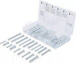 Assortimento bulloni di sicurezza 60 pz