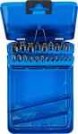 Set maschi e filiere M3 - M12 21 pz