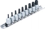 Serie di chiavi a bussola (1/4) profilo a TS (per Torx Plus) con alesatura 9 pz