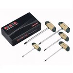 Set di chiavi torx con impugnatura a T 5 pezzi