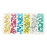 Mini fusibili a lama assortiti 120 pezzi in scatola di plastica