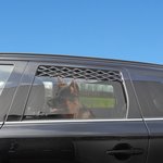 Griglia di ventilazione del finestrino dell'auto