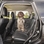 Guinzaglio per cani per cintura di sicurezza auto